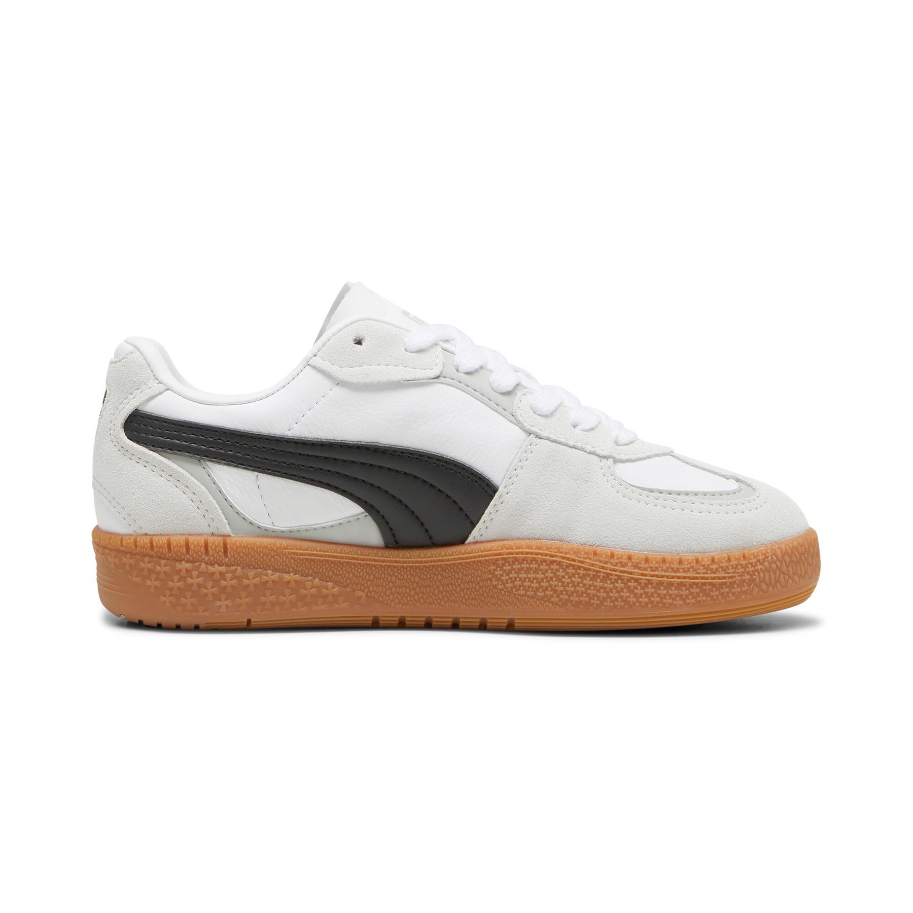 product/p/u/puma_397727-01_4-nw082525.jpg