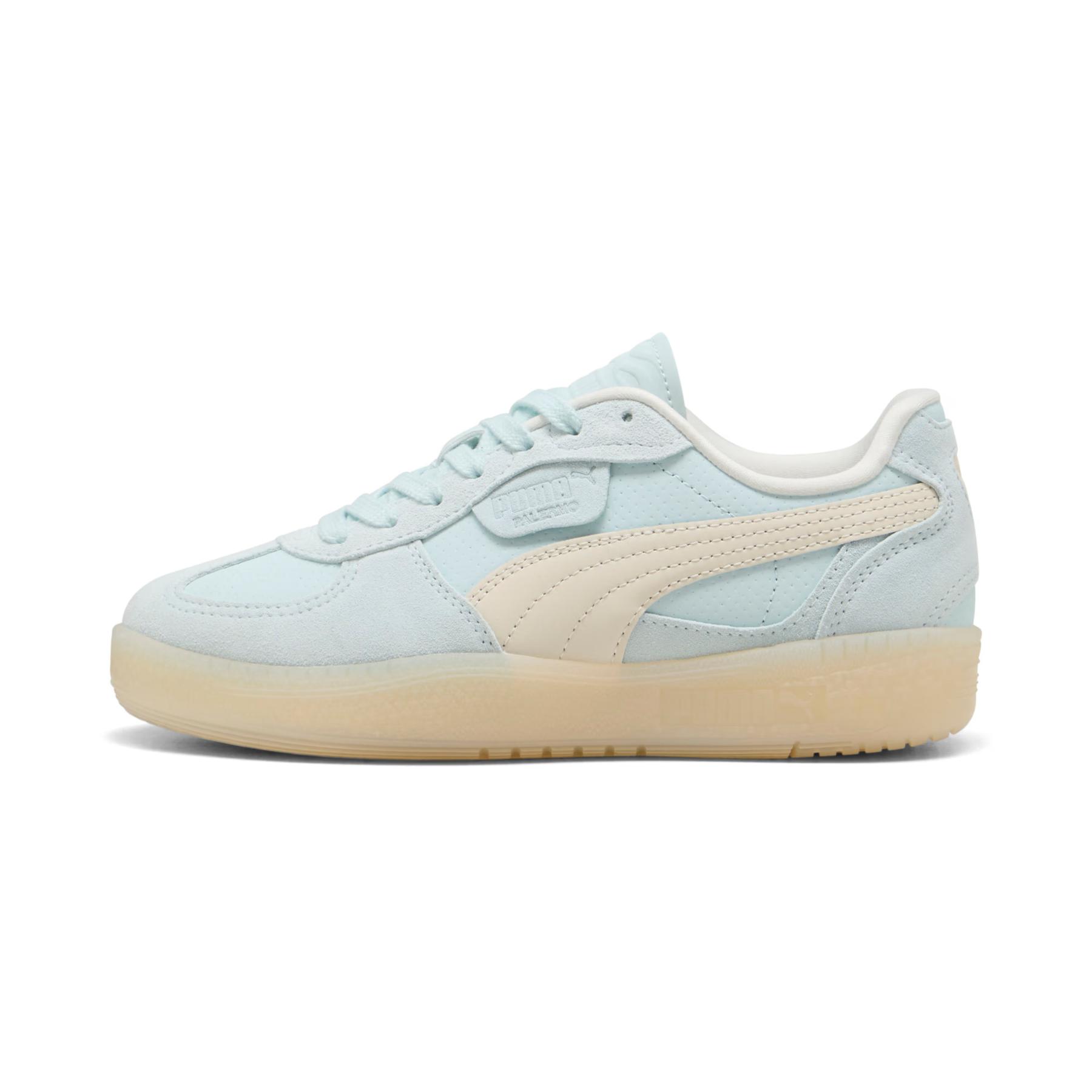 product/p/u/puma_403375-02_bleu_1.jpg