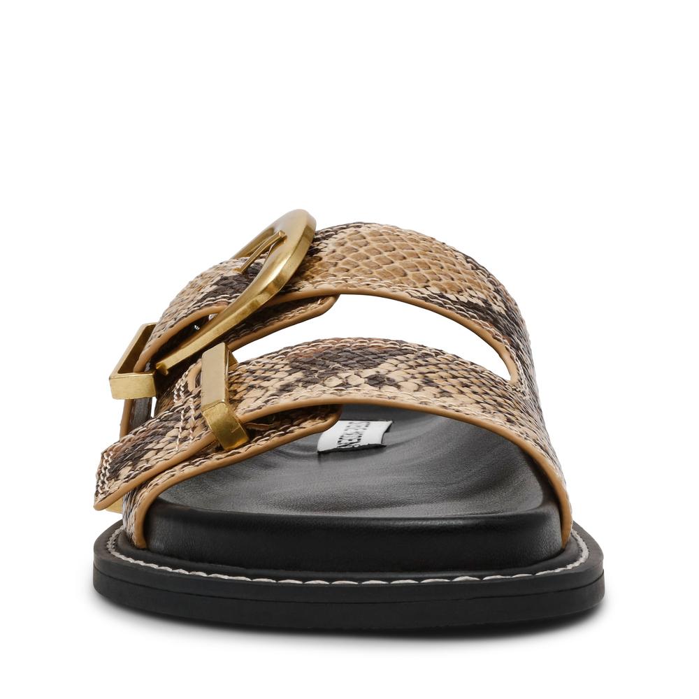 product/s/t/steve-madden_sm19000133-02002-233_brown-snake_4.jpg