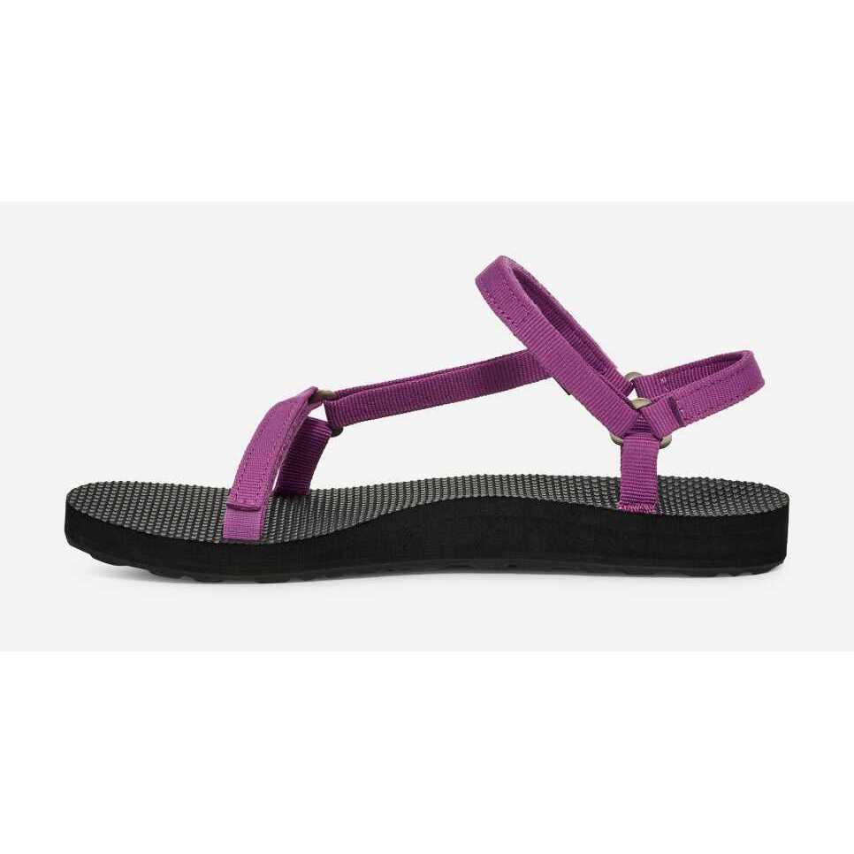 product/t/e/teva_1150110-skng-51_striking-purple_2.jpg