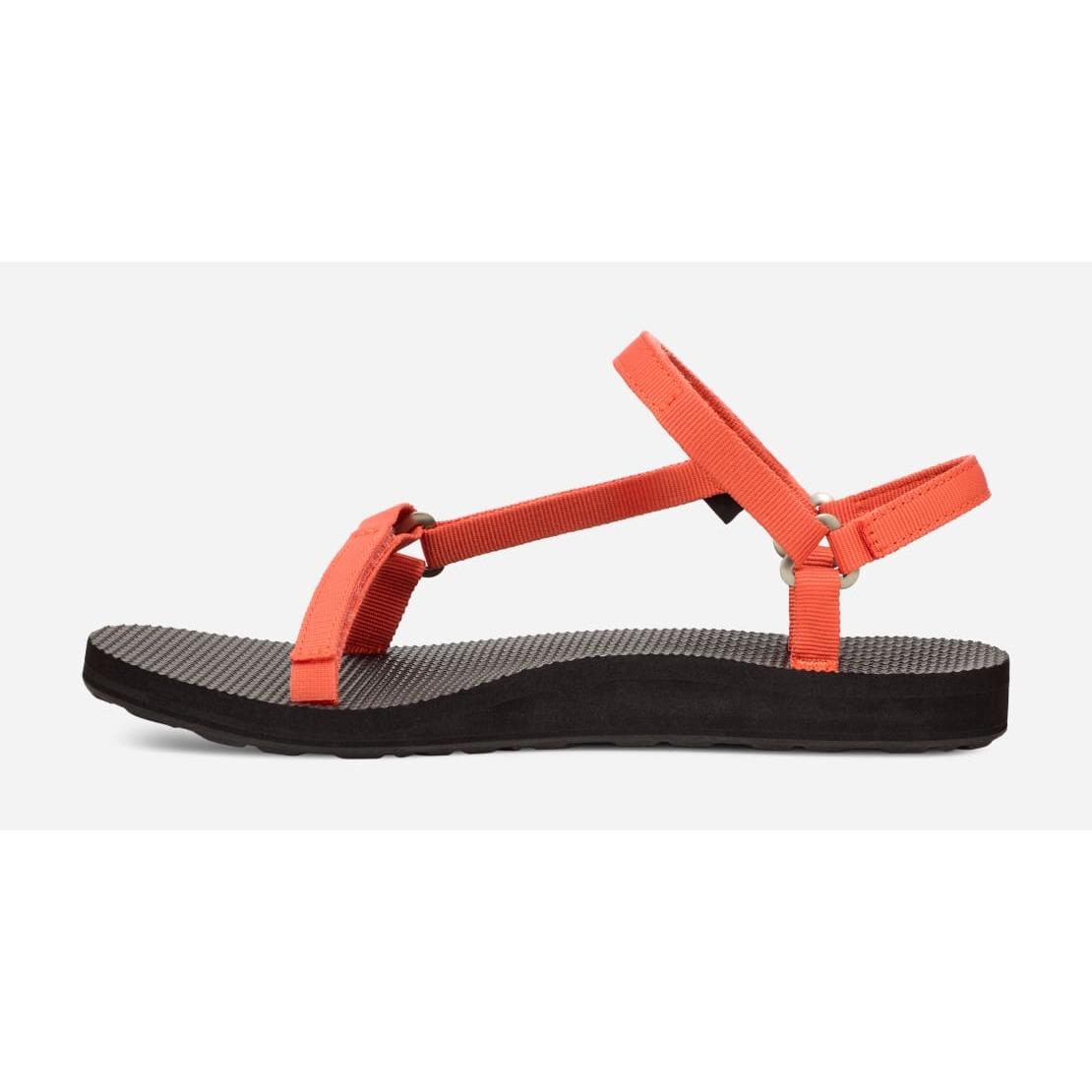 product/t/e/teva_1150110-tgly_1.jpg
