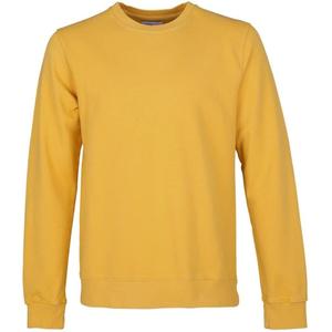 cs1005-burnedyellow-sweatshirt-col-rond-colorful-standard-classic-organic-burned-yellow