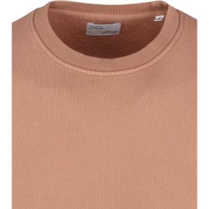 product/C/S/CS1005-ROSEWOODMIST_2.jpg