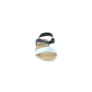 product/a/m/amoa_1004004_2.jpg