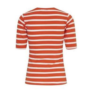 product/b/-/b-young_20811087-201688_orangeade-mix_2.jpg