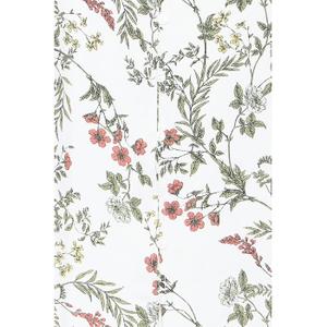 product/b/-/b-young_20816799-204740_birch-flower-mix_1.jpg