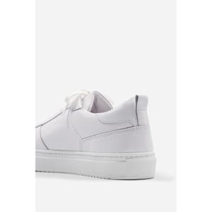 product/b/e/belledonne_b0-fw-35_full-white_2.jpg