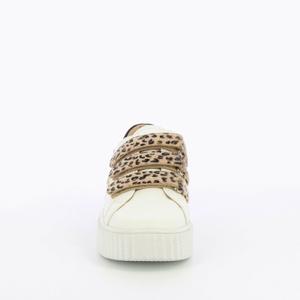 product/b/k/bk2193lp_4.jpg