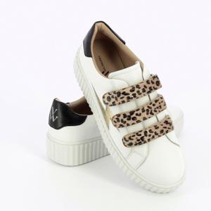 product/b/k/bk2229lp_3.jpg