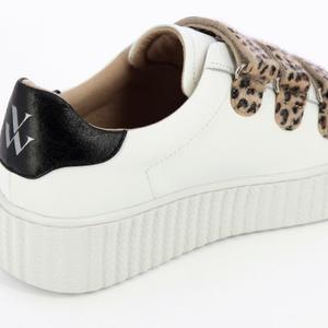product/b/k/bk2229lp_5.jpg
