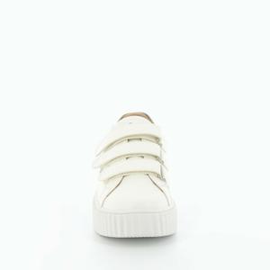 product/b/k/bk2281tp_4.jpg