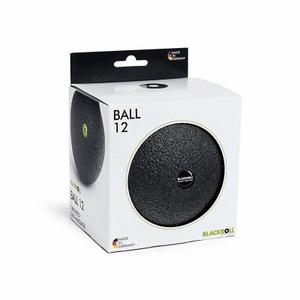product/b/l/blackroll_a000497_1.jpg