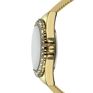 product/c/l/clare-moss_cma7-b038g_gold-white_4.jpg