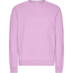 cs1005-cherryblossom-pull-colorful-standard-classic-organic-cherry-blossom-cherry-blossom