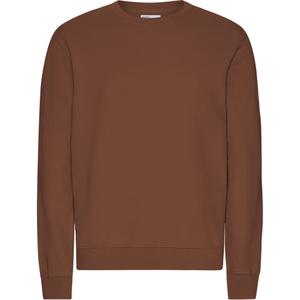 cs1005-cinnamonbrown-pull-colorful-standard-classic-organic-cinnamon-brown-cinnamon-brown