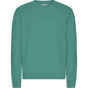 cs1005-pinegreen-pull-colorful-standard-classic-organic-pine-green-pine-green