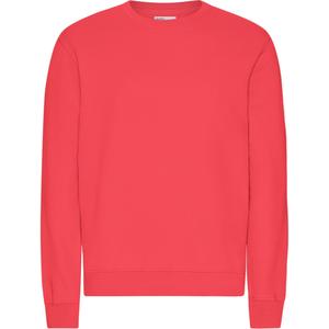 cs1005-redtangerine-pull-colorful-standard-classic-organic-red-tangerine-red-tangerine