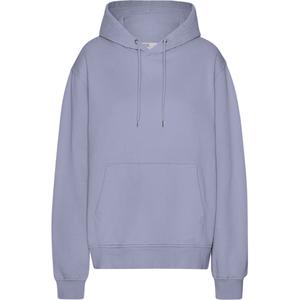 cs1006-purplejade-sweatshirt-a-capuche-colorful-standard-classic-organic-purple-jade-purple-jade