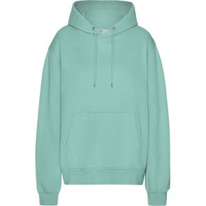 cs1006-seafoamgreen-sweatshirt-a-capuche-colorful-standard-classic-organic-seafoam-green-seafoam-green