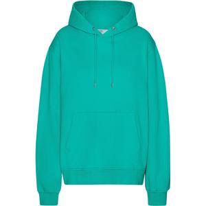 cs1006-tropicalsea-sweatshirt-a-capuche-colorful-standard-classic-organic-tropical-sea-tropical-sea