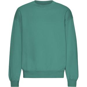cs1012-pinegreen-sweatshirt-col-rond-oversize-colorful-standard-organic-pine-green-pine-green