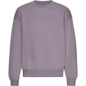 cs1012-purplehaze-sweatshirt-col-rond-oversize-colorful-standard-organic-purple-haze-purple-haze