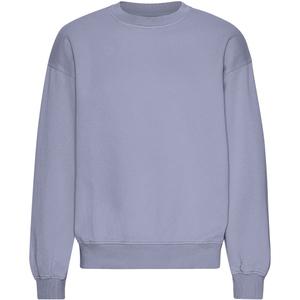 cs1012-purplejade-sweatshirt-col-rond-oversize-colorful-standard-organic-purple-jade-purple-jade