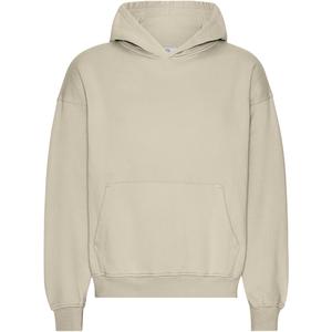 cs1015-oystergrey-sweatshirt-a-capuche-oversize-colorful-standard-organic-oyster-grey-oyster-grey