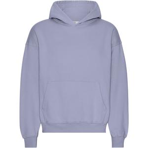 cs1015-purplejade-sweatshirt-a-capuche-oversize-colorful-standard-organic-purple-jade-purple-jade