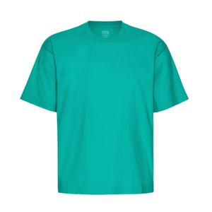cs2056-tropicalsea-t-shirt-oversize-colorful-standard-organic-tropical-sea