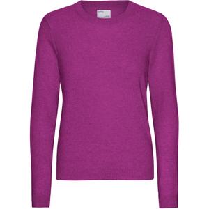 cs5084-magentablaze-pull-merinos-col-rond-femme-colorful-standard-magenta-blaze-magenta-blaze