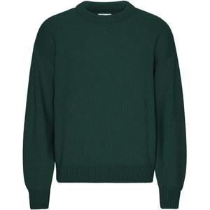 cs5088-emeraldgreen-pull-col-rond-oversize-colorful-standard-emerald-green-emerald-green