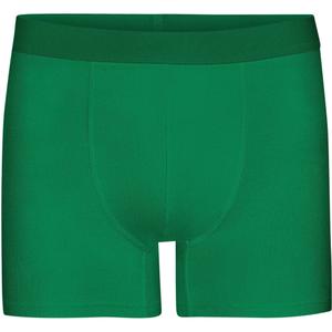 cs7001-kellygreen-boxer-colorful-standard-classic-organic-kelly-green-kelly-green