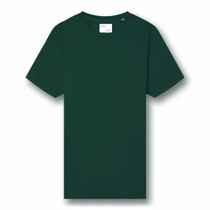 cs1001-emeraldgreen-t-shirt-colorful-standard-classic-organic-emerald-green-emerald-green