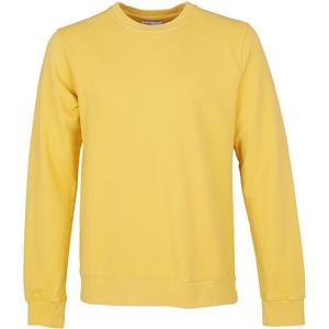cs1005-lemonyellow-sweatshirt-col-rond-colorful-standard-classic-organic-lemon-yellow