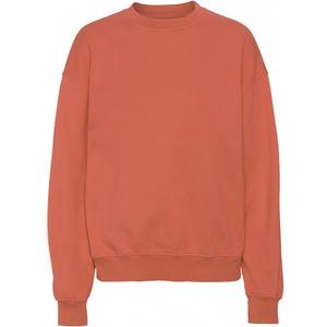 cs1012-darkamber-sweatshirt-col-rond-colorful-standard-organic-oversized-dark-amber