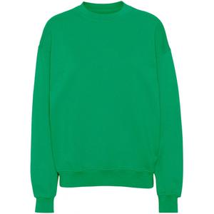 cs1012-kellygreen-sweatshirt-col-rond-colorful-standard-organic-oversized-kelly-green