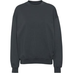cs1012-lavagrey-sweatshirt-col-rond-colorful-standard-organic-oversized-lava-grey