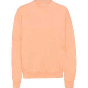 cs1012-paradisepeach-sweatshirt-col-rond-colorful-standard-organic-oversized-paradise-peach