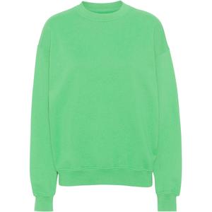 cs1012-springgreen-sweatshirt-col-rond-colorful-standard-organic-oversized-spring-green