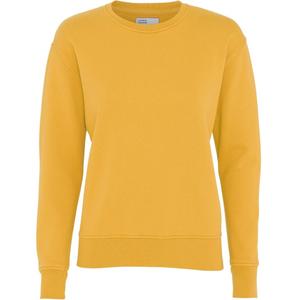 cs2052-burnedyellow-pull-col-rond-femme-colorful-standard-classic-organic-burned-yellow