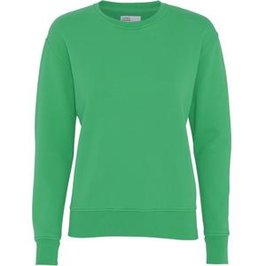 cs2052-kellygreen-pull-col-rond-femme-colorful-standard-classic-organic-kelly-green