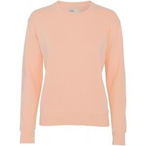 cs2052-paradisepeach-pull-col-rond-femme-colorful-standard-classic-organic-paradise-peach