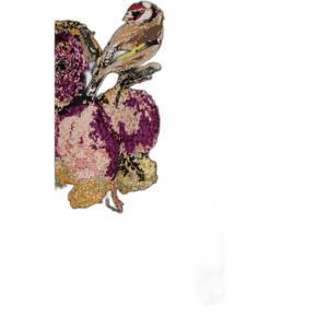 product/d/e/desigual_25wwjf04-2000_negro_1.jpg
