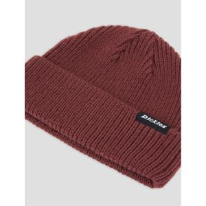 product/d/i/dickies_dk0a4x7yl161_andorra_3.jpg