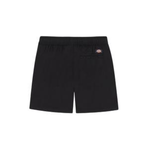 dk0a4y84blk1-short-femme-dickies-vale-black
