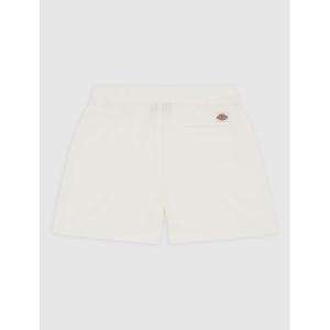 product/d/i/dickies_dk0a4y84c581_cloud_2.jpg