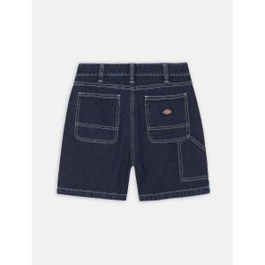 product/d/i/dickies_dk0a4y88clb1_classic-blue_2.jpg