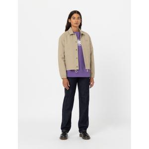 product/d/i/dickies_dk0a4ygwkhk1_khaki_5.jpg