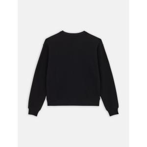 product/d/i/dickies_dk0a4yqdblk1_black_2.jpg